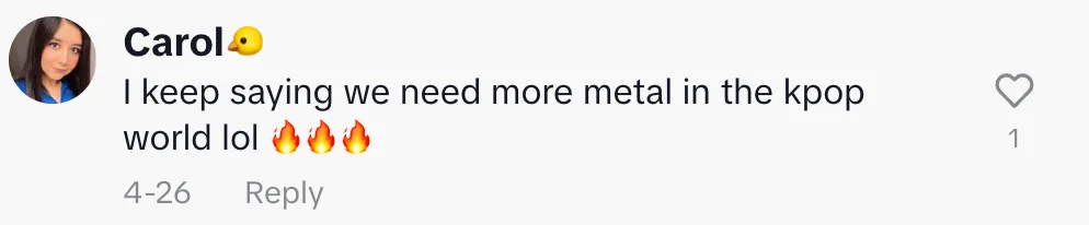 Fan comment 12